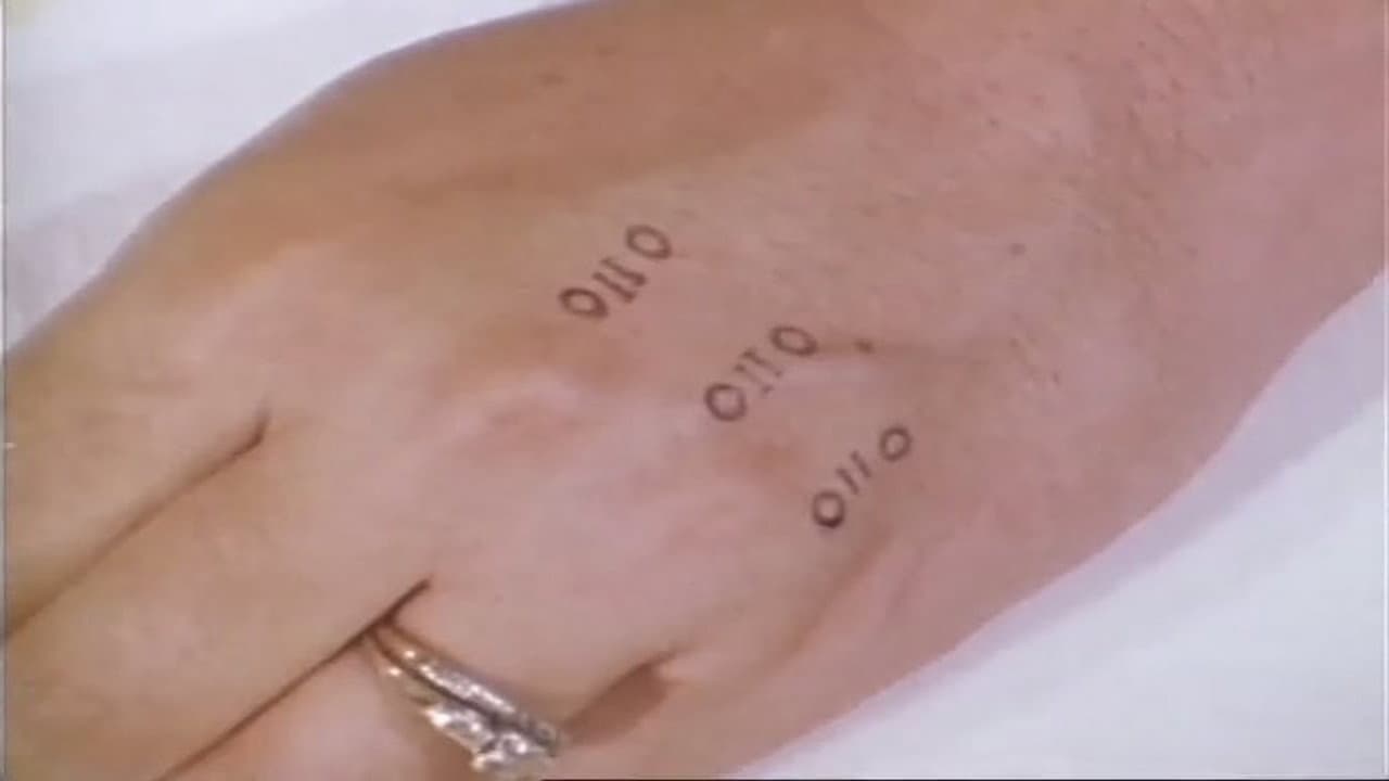 Um Ladrão na Noite